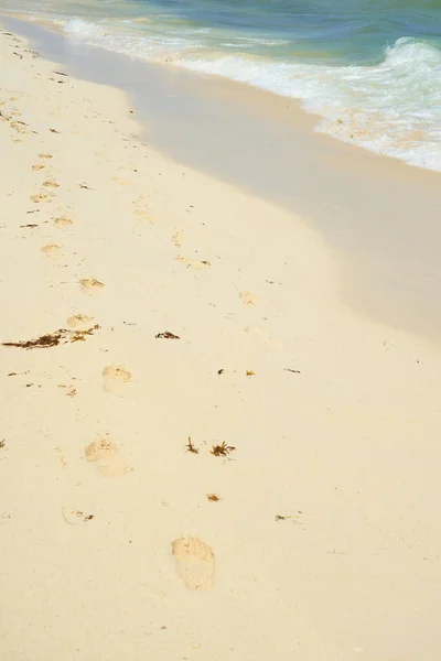 Fußabdrücke Sand Einem Sandstrand Als Kulisse — Stockfoto