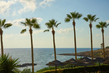 Akdeniz kıyılarında arka planda ufuk olan palmiye ağaçları