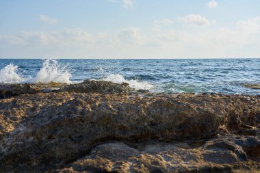 Kıbrıs 'ta Akdeniz' in taş kıyısı