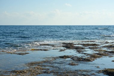 Kıbrıs 'ta Akdeniz' in taş kıyısı