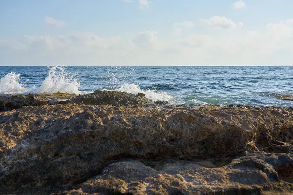 Kamenné Pobřeží Středozemního Moře Kypru — Stock fotografie