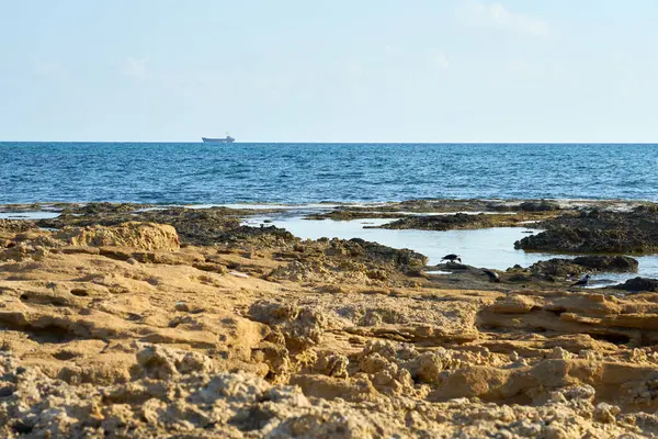 Costa Pietra Del Mar Mediterraneo Cipro — Foto Stock