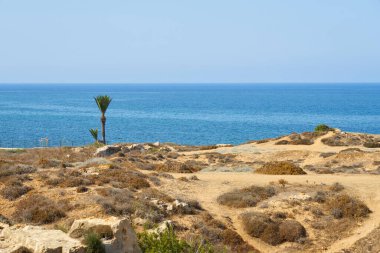 Akdeniz kıyısındaki taşlar.