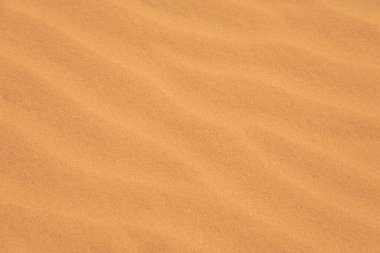 Çöldeki kum dokusu doğal bir arka plan gibi.