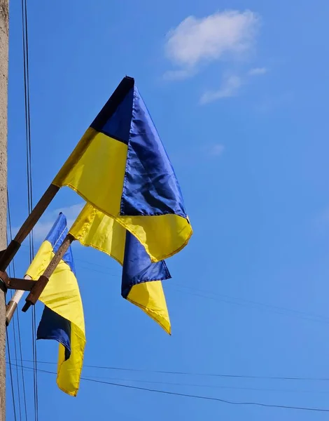乌克兰国旗迎着蓝天飘扬 乌克兰国旗在室外悬挂 — 图库照片