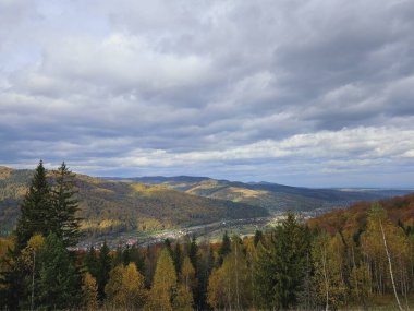 Ağaçlar ve dağlarla dolu güzel sonbahar manzarası