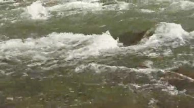 Bir dağ nehrinin hareketi, kayaların arasından akan bir akarsu. Nehir taşlarına akan suyla yakın çekim, bir dağ nehrinde akan temiz su. Nehirde akan su