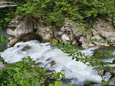 Ukrayna dağlarında akan akarsu. Hızlı akıntılı dağ nehri