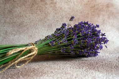 Provence tarzında hafif arka planda bir demet lavanta yakın plan. Beton zeminde taze lavanta çiçekleri