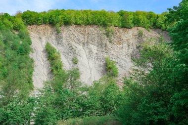 Ormandaki uçurumun manzarası