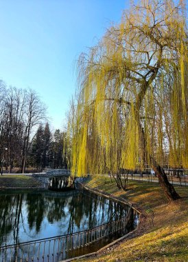 Göllü bahar parkı. Park ve göl manzarası çok güzel. Sudaki yansıma.