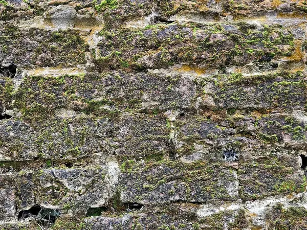 Eski, eski bir tuğla duvarın arka planı, gerçek bir fotoğraf. Yosun tutmuş tuğladan bir duvarın yakın çekimi. Doku, tuğla, duvar, arka plan olarak kullanılabilir. Çizik ve çatlaklarla tuğla dokusu