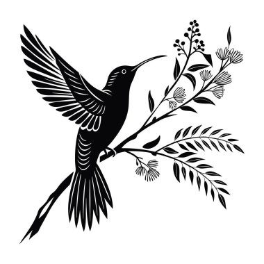 Beyaz arkaplanda sinekkuşu silueti