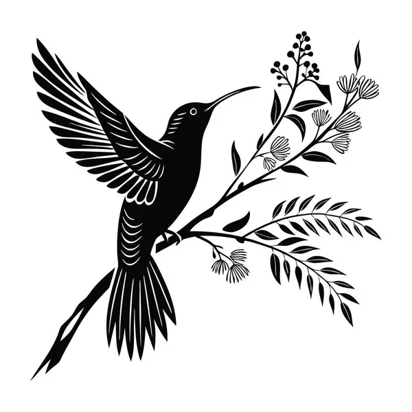 Beyaz arkaplanda sinekkuşu silueti