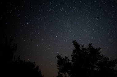Gece yıldızlı gökyüzü fotoğrafları atmosferiktir.