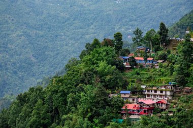 Kalimpong 'un tepe yamacı boyunca yeşil alanlarla çevrili güzel dağınık kulübeler..