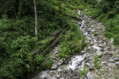 Tista Nehri 'nin daha yeşil Himalayalar deresi ve nehri..