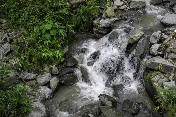 Tista Nehri 'nin daha yeşil Himalayalar deresi ve nehri..