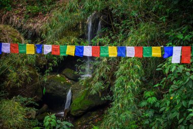 Budist dua bayrağı, Himalaya deresi ve yeşil bambu.