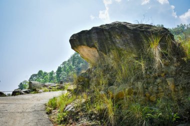 Doğal kayaların ve yeşil bitki örtüsünün egzotik manzarası.