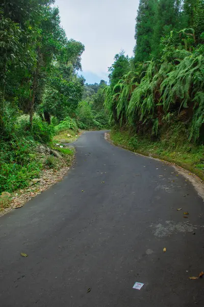 Himalaya dağında güzel bir yolculuk.