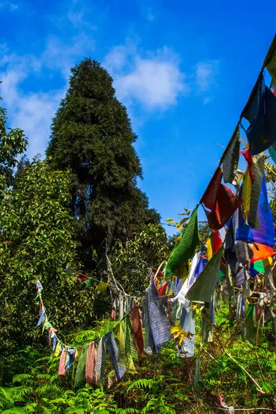Canlı yeşil yapraklarla çevrili orman ortamında asılı dua bayrakları, yukarıdaki parlak, berrak gökyüzü, huzurlu ve ruhani bir atmosfer taşır..