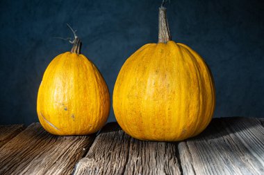 Cadılar bayramı arka planında bir balkabağı
