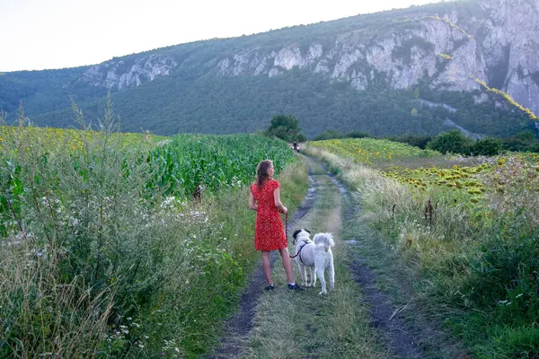 Kırmızı elbiseli kadın ve beyaz köpek doğada