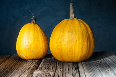 Cadılar bayramı balkabakları oymaya hazır.