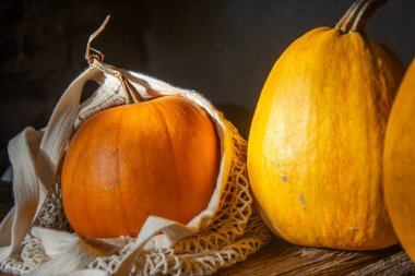 Cadılar bayramı balkabakları oymaya hazır.