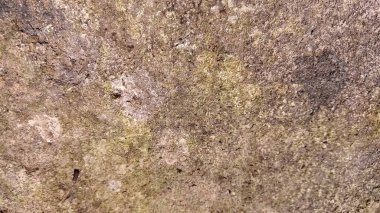 Gri granitli yüzeyin dokusu