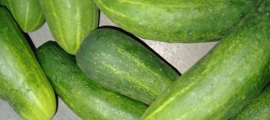 beyaz zemin üzerine yeşil kabak