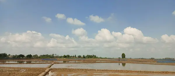 açık hava manzarasının resimsel görüntüsü
