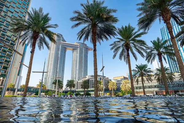 Dubai Uae United Arab Emirates Beautiful View Palm Trees Fountain — Stock Photo, Image