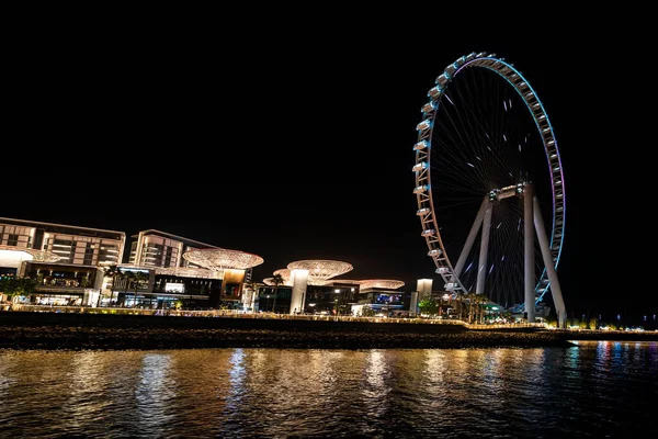 Ноября 2022 Года Дубай Оаэ Красочный Вид Освещенный Адресный Курорт — стоковое фото