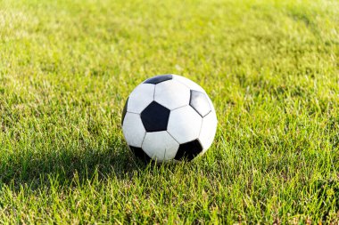 deri futbol topu yeşil çimenlerin üzerinde görmek