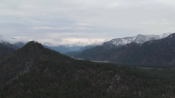 Berg Met Zichtbare Silhouetten Bos Boom Door Ochtend Kleurrijke Mist — Stockfoto