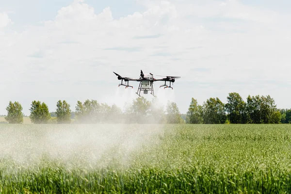 Moderní Technologie Zemědělství Průmyslový Dron Přeletí Nad Zeleným Polem Rozstřikuje — Stock fotografie