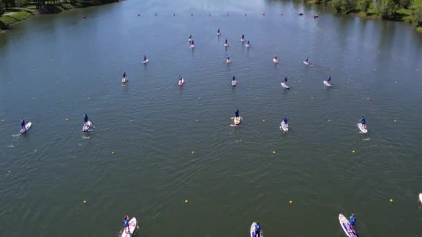 许多人站在木板上和桨一起划船 夏天在水里玩的很开心苏打水在平静的水中 顶部视图 — 图库视频影像