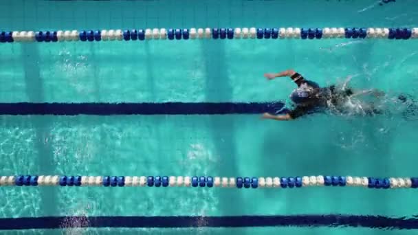 スイミングプールで若い男の水泳ラップのトップビューショット オスはプールで蝶のストロークを泳いでいる 水泳クロール — ストック動画
