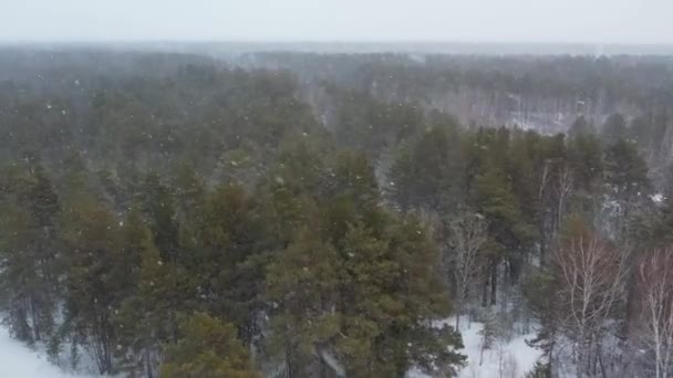 空中俯瞰着冰雪覆盖的森林 飞越西伯利亚的冬季森林 俯瞰全景 在大雪中飞行 — 图库视频影像