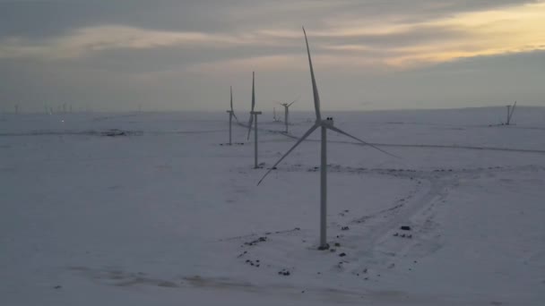 Długi Rząd Turbin Wiatrowych Holenderskim Zimowym Krajobrazie Alternatywne Źródła Energii — Wideo stockowe