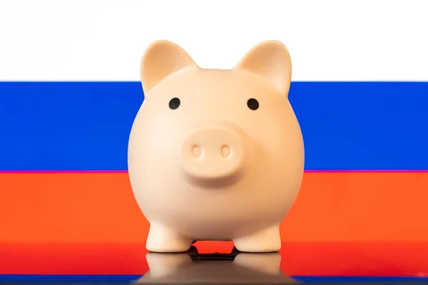 Koncepce Zachování Úspory Peněz Prasátko Banka Pozadí Ruské Vlajky — Stock fotografie