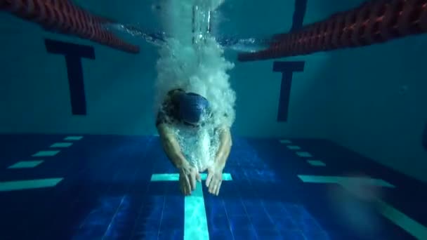 Een Mannelijke Atleet Duikt Het Water Het Zwembad Een Zwemmer — Stockvideo