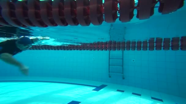 男子アスリートがプールの水の中に潜る 水泳選手が水中に飛び込み — ストック動画