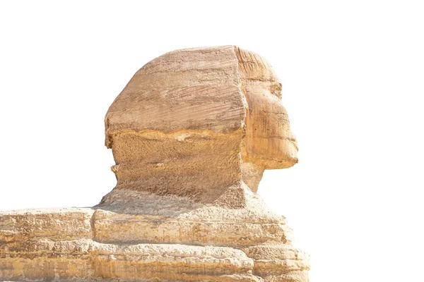 Velká Starodávná Sfinga Izolovaná Bílém Pozadí Boční Pohled — Stock fotografie