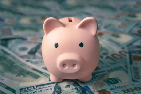 stock image piggy bank and money.. the concept of preserving and saving money.