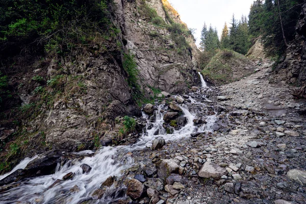 stock image View of the mountain river with a strong current and rifts. The river is among the violent greenery. mountain stream with clear water. bear gorge almaty