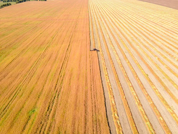 Drohnenbild Von Feldern Mit Vielfältigem Pflanzenwachstum Basierend Auf Dem Prinzip — Stockfoto