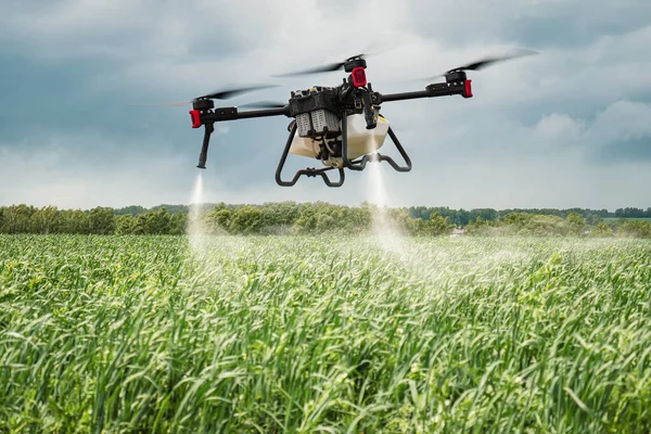 Modern technologies in agriculture. An industrial drone flies over a green field and sprays useful pesticides to increase productivity and destroys harmful insects. increase productivity